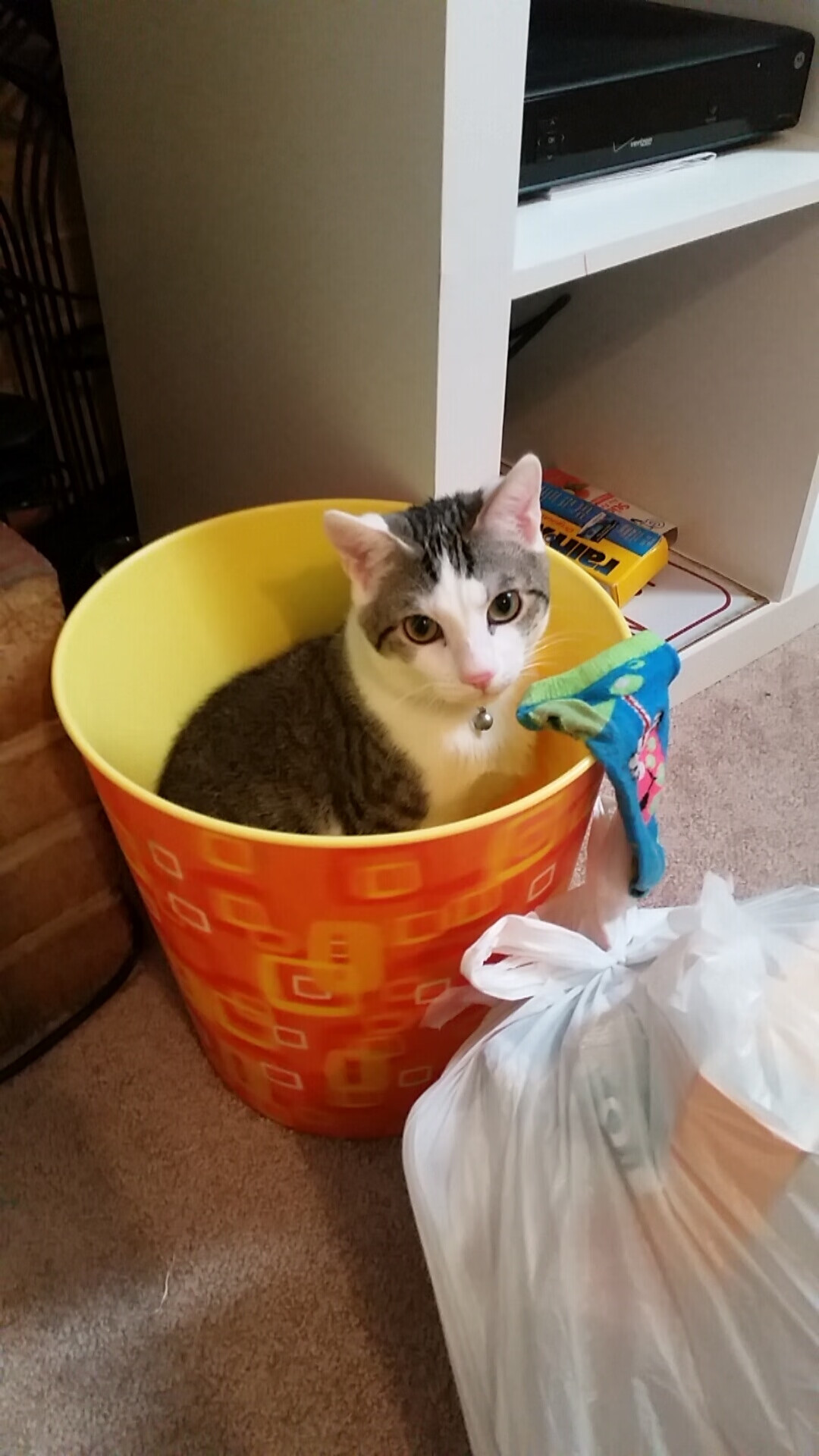 爱游戏体育app-_梦幻极光雪地雪车：在北极圈内感受速度_，梦幻冰雪地板