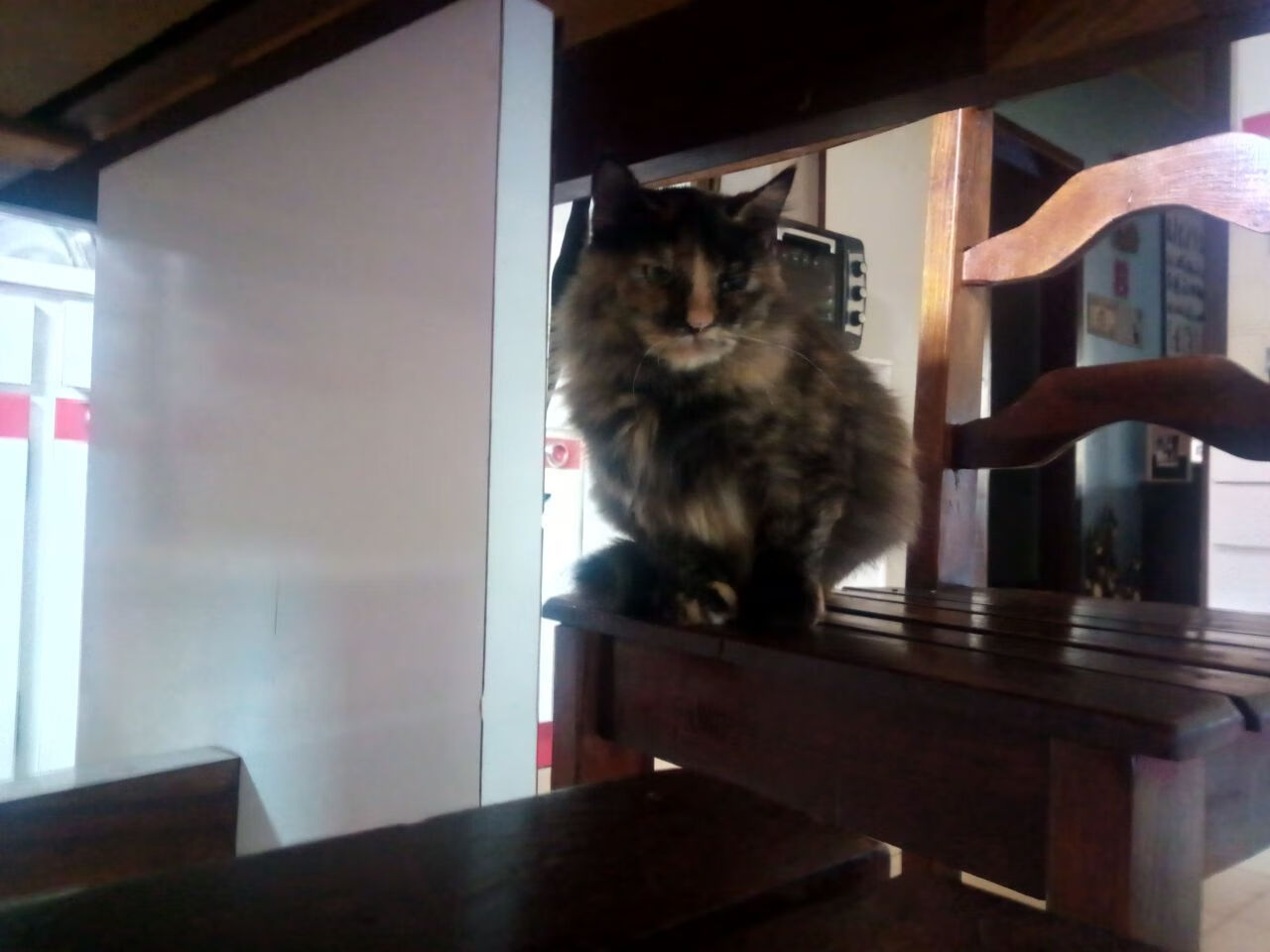 AYX体育-国际乒联混合团体世界杯：澳大利亚队的表现让人期待未来，乒乓男团澳大利亚