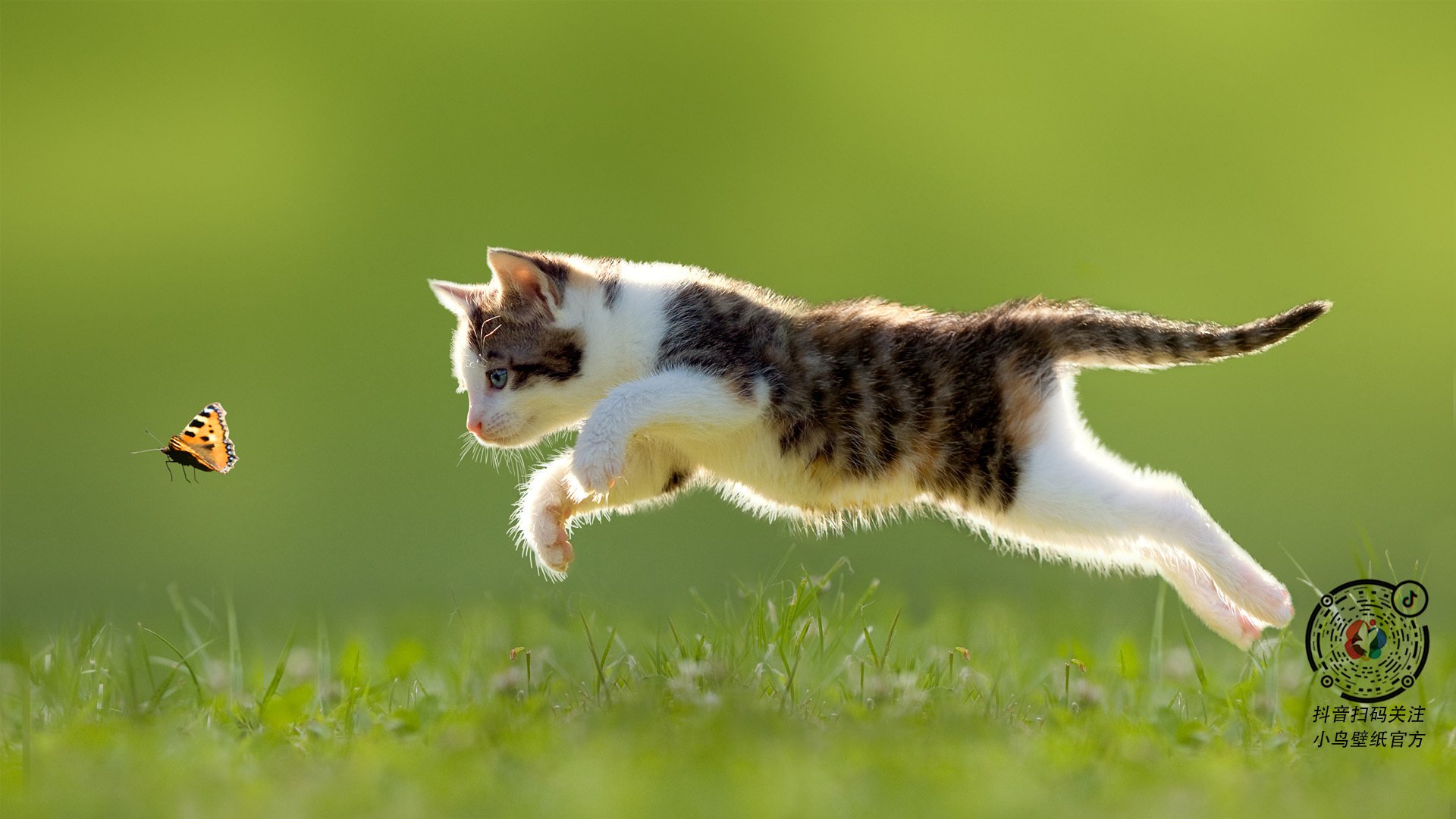 凯瑟琳·伯科夫用速度与耐力完美结合,凯瑟琳·波克瓦克的真实经历