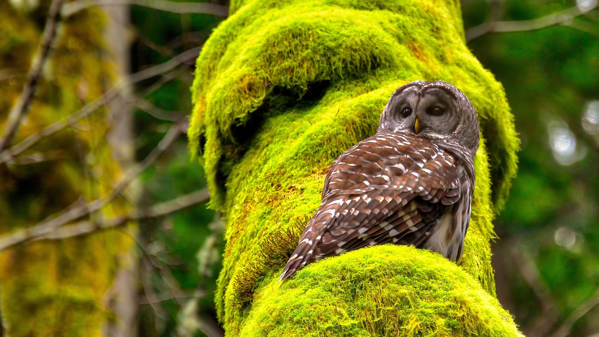 库里接受青少年提问妙语连珠引掌声，库里说过