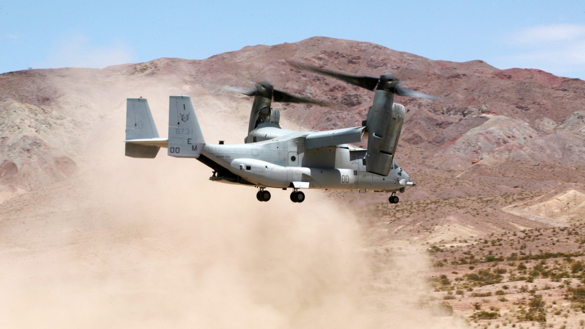 荷兰女子蛙泳组合表现亮眼，荷兰女子运动员