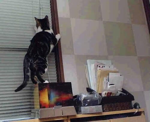 赛季积分榜变化频繁各支球队全力拼搏争夺最后晋级名额，赛季总得分排名