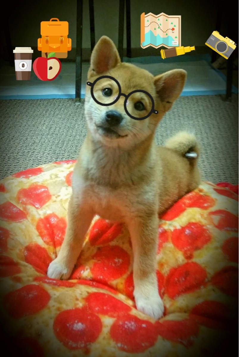 里根·史密斯持续领跑女子仰泳项目，美国游泳里根史密斯